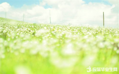 ����ǩ��Ӣ���������