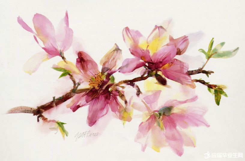 ������д��ɢ����伯��