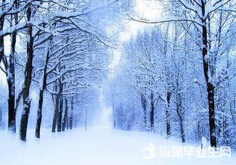 һ�꼶��дѩ����ʫ��