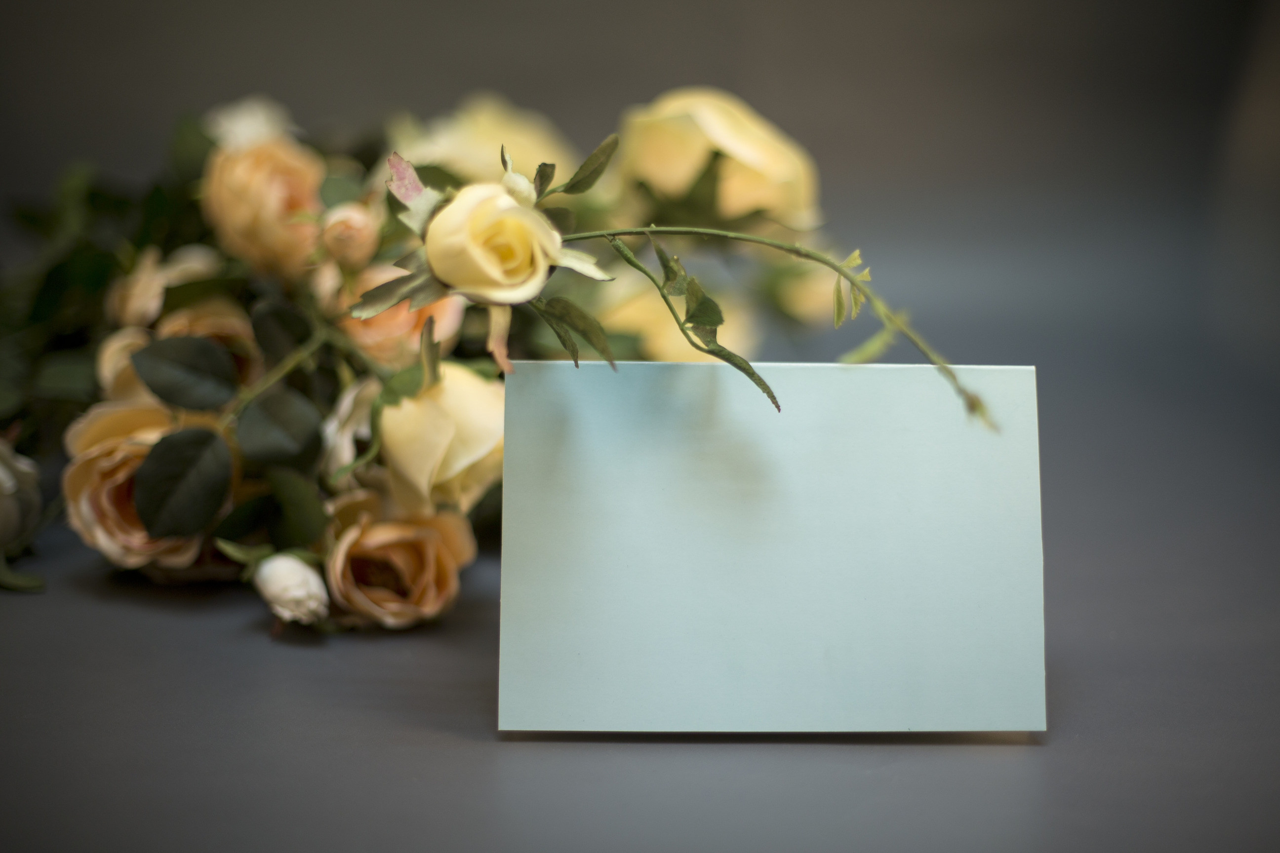 �����׶�԰��ף��ʦ�ڵ�ʫ������