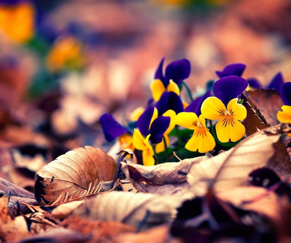 ������Ϣ�������ʲô