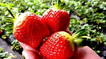 ���ʵ�ͬ��ʽ���