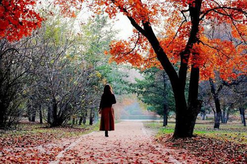 �����˸�����˵˵