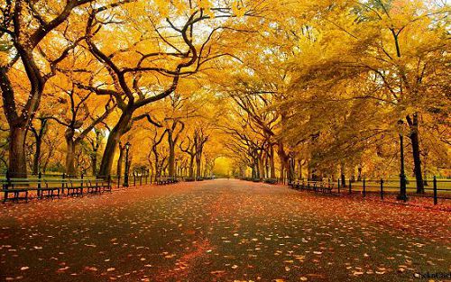 �����˸�����˵˵