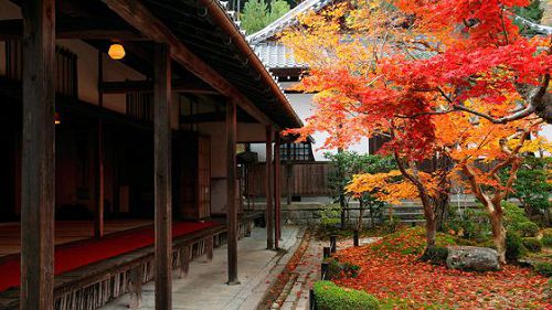 �����˸�����˵˵