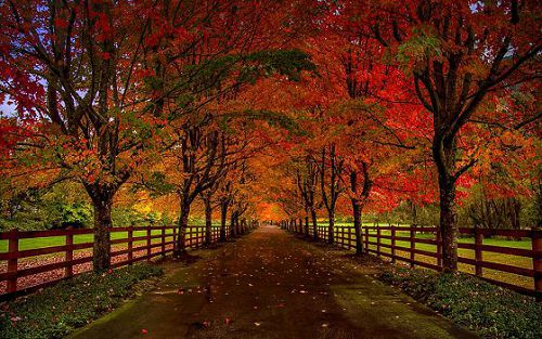 �����˸�����˵˵