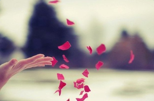 ˵˵2017����˵˵ʧ��