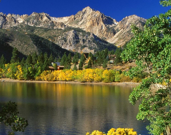 ���µĽ���΢С˵