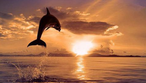 �ڷܴ����ò�����־����