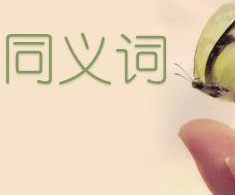 �㼣��ͬ�����ʲô