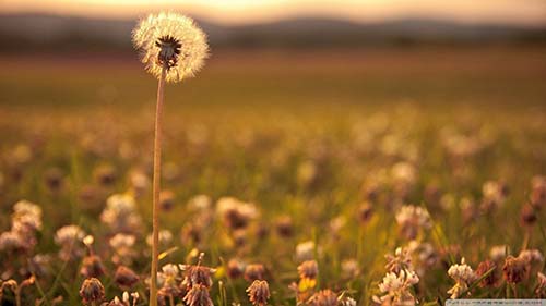 �����������õ�����˵˵��ȫ