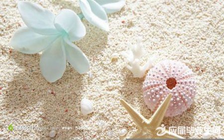 说说的经典语句大全