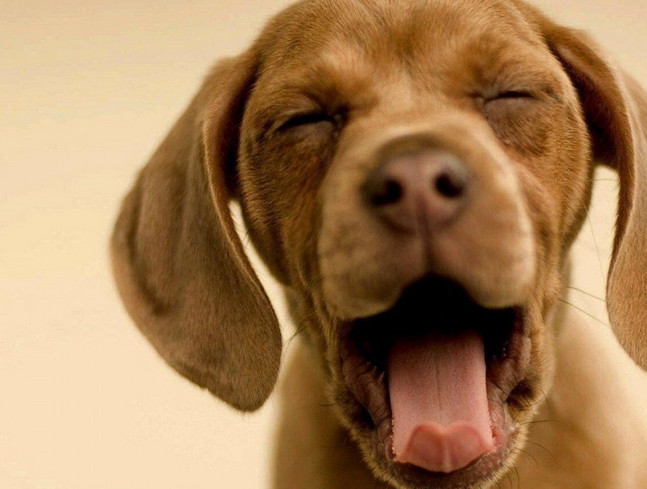 ��Ц˵˵��ȫ