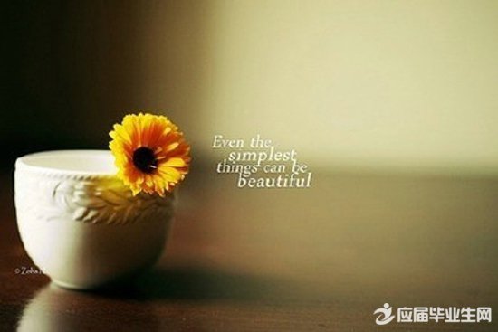 һ���������ĸ���˵˵