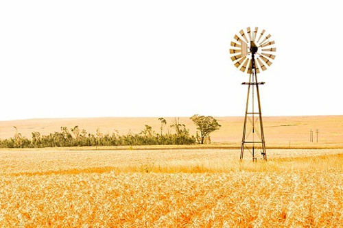 ����������ľ���˵˵