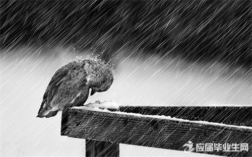 �ռ��˸�˵˵���Ӵ�ȫ