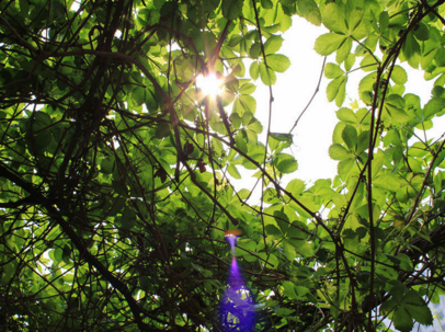 �ഺ��־���ִ�ʫ��