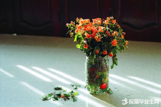 �н�������Ĺ��¾�ѡ