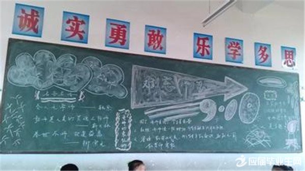 ��ʦ�ںڰ屨֮��������ʦ