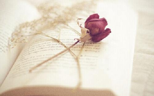 Ò»ÉÈ´°ÔĶÁ´ð°¸