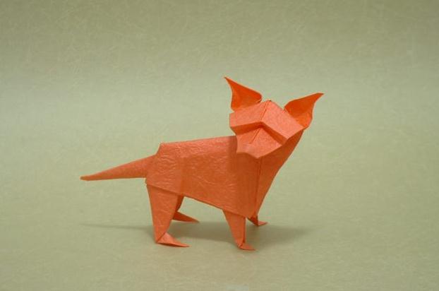 Сѧ���ֹ���ֽ��Ʒ