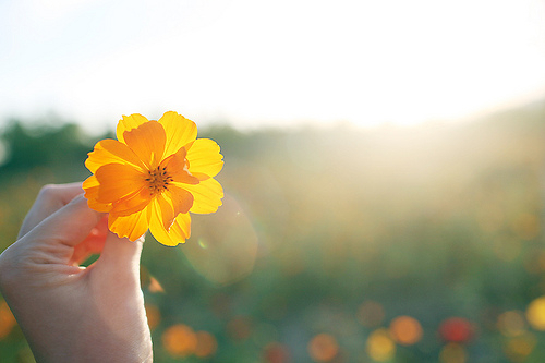 ��һ�����Ҹ��Ķ���