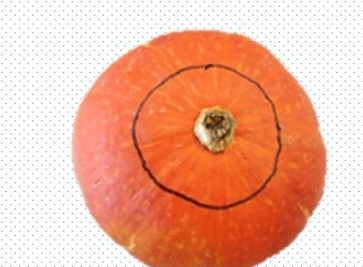 南瓜灯笼制作方法图解