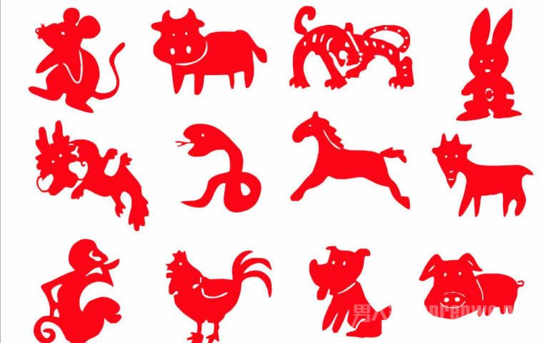 ×îд°»¨¼ôֽͼ°¸´óÈ«