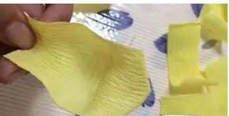 ������ֽ��õ�廨ͼ��