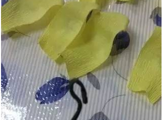 ������ֽ��õ�廨ͼ��