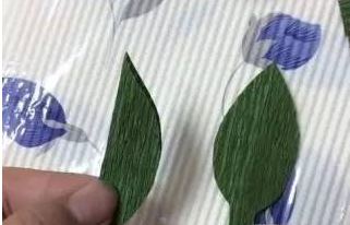 ������ֽ��õ�廨ͼ��