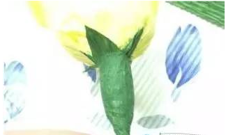 ������ֽ��õ�廨ͼ��