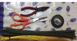 ������ֽ��õ�廨ͼ��