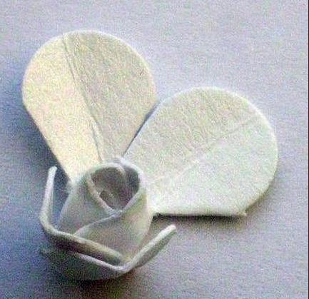 õ�廨����ֽ����ͼ