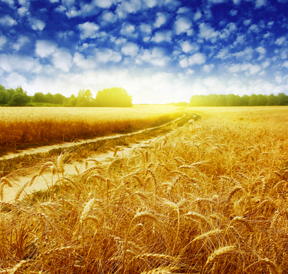 ��д��ɫ�������̾���