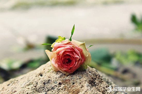 ����90��������