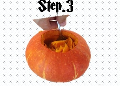 �Ϲϵ�����������