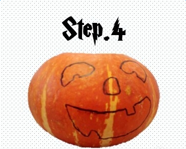 �Ϲϵ�����������