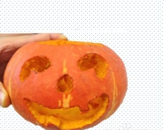 �Ϲϵ�����������