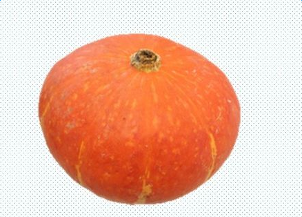 �Ϲϵ�����������