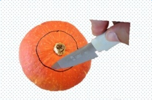 �Ϲϵ�����������