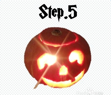 �Ϲϵ�����������