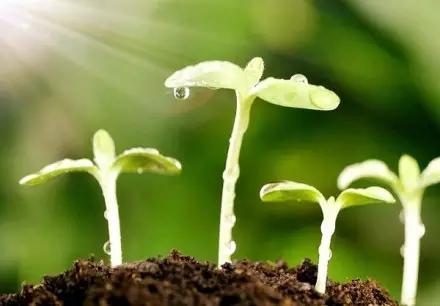 ������µ���˼�����