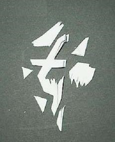 �������ѧ���������ѩ����ֽ