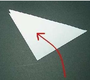 �������ѧ���������ѩ����ֽ