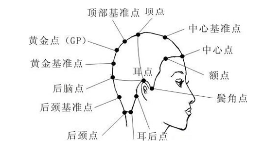 新手剪发技巧分步图解