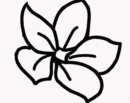 �ڰ屨ӣ����ʻ�