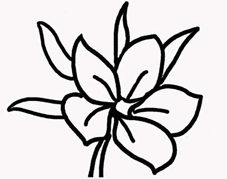 �ڰ屨ӣ����ʻ�