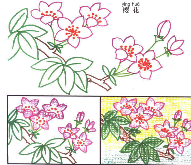 �ڰ屨ӣ����ʻ�