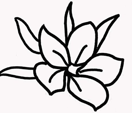 �ڰ屨ӣ����ʻ�